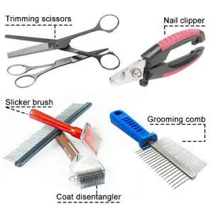 poodle-grooming-tools