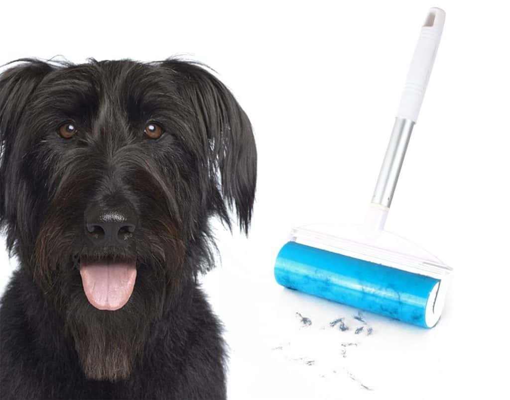 How to Remove Sticky Stuff from Your Dog's Hair Dog Grooming Tutorial