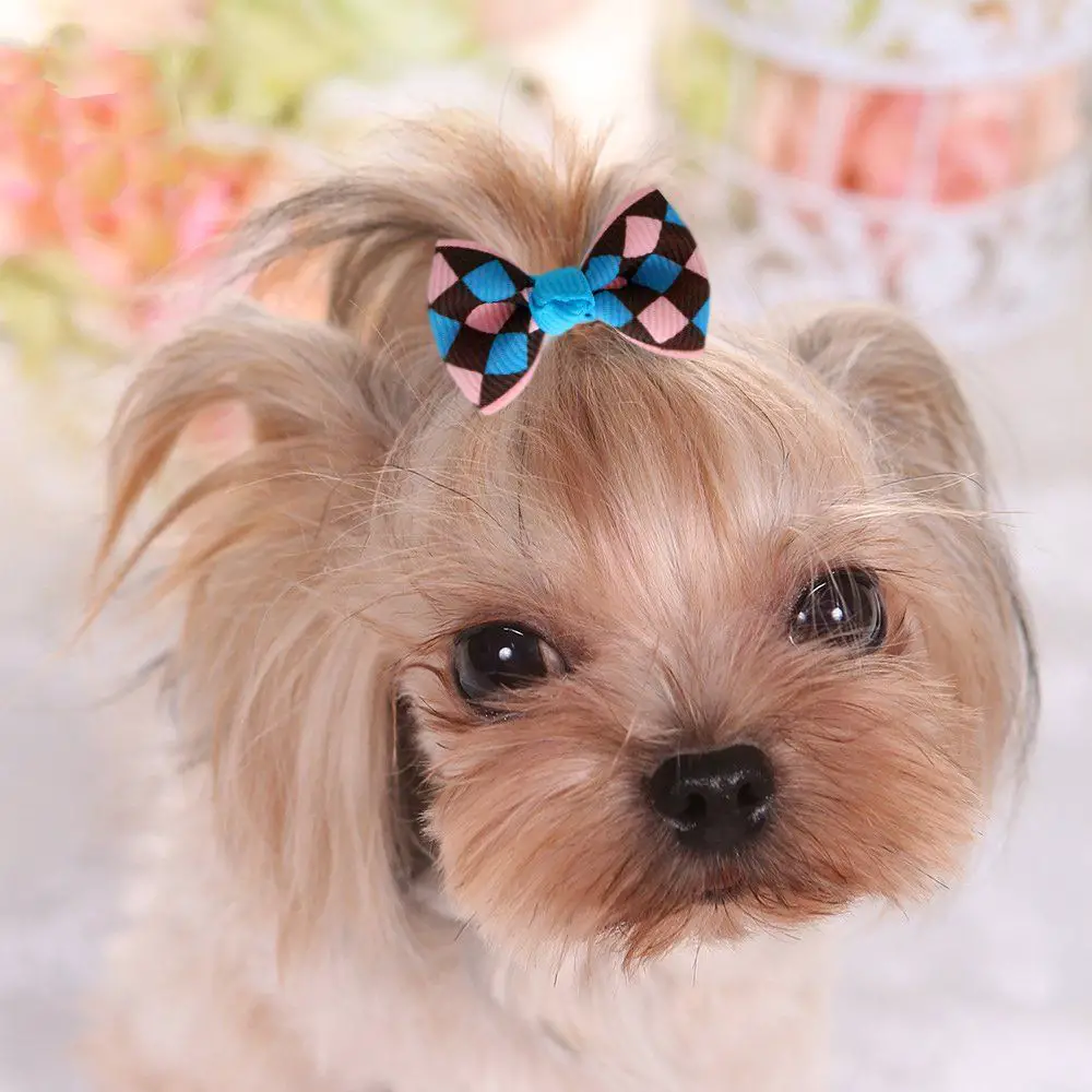 creating top knots or braids for dogs