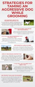 Strategies For Taming An Aggressive Dog While Grooming