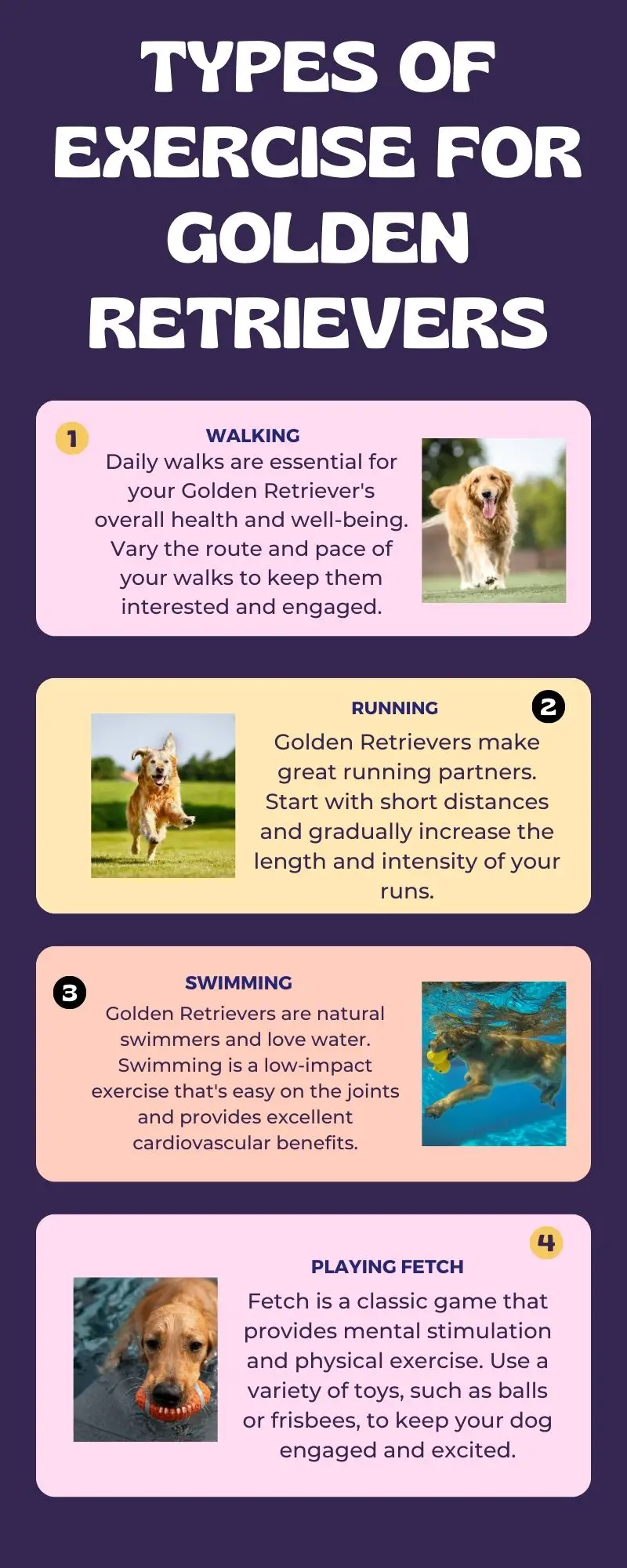 Types Of Exercise For Golden Retrievers